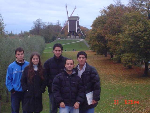 molinos_brugge_belgica.jpg